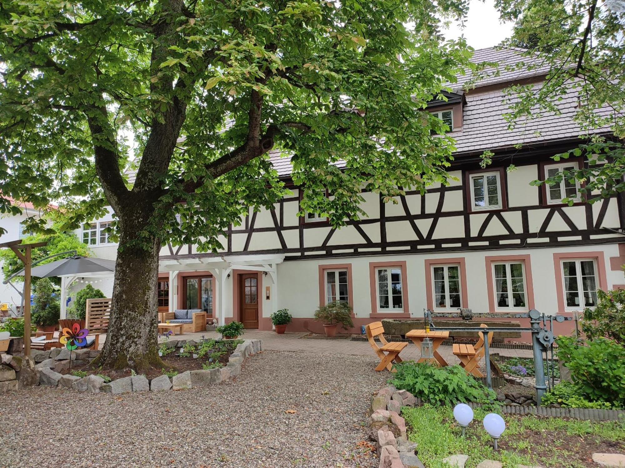 Boutique-Hotel Krone Denzlingen Exteriér fotografie
